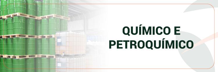 Segmento Químico e Petroquímico
